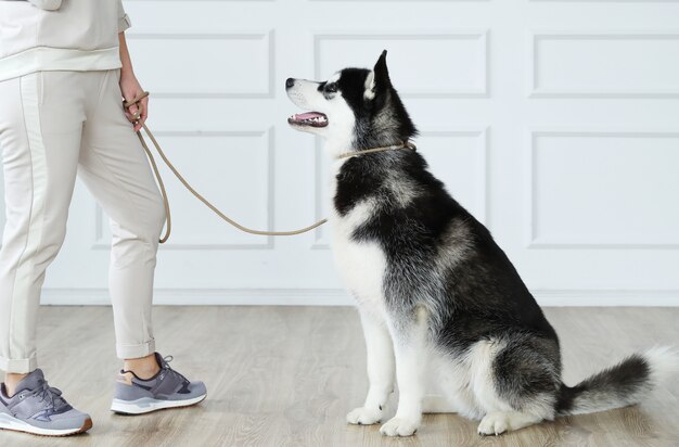 Femme avec husky