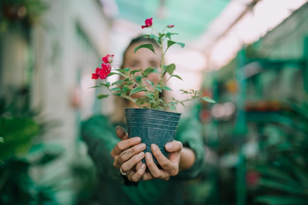 Femme jardinier montrant le pot de fleurs en pépinière sur fond flou