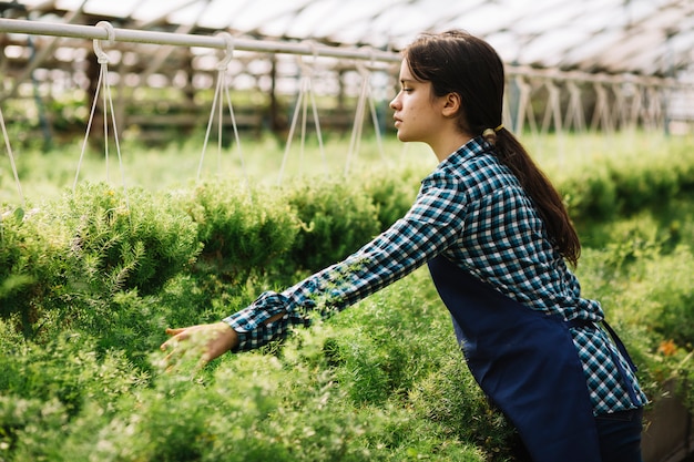 Femme jardinier travaillant dans la serre