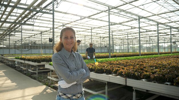 Photo gratuite femme jardinière agricultrice récoltant une salade biologique pendant la saison agricole cultivant des légumes dans une serre agricole rurale. plantation cultivée avec des systèmes hydroponiques. notion d'agronomie