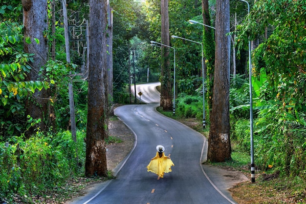 Femme marche sur route avec des arbres géants à Chiang Mai, Thaïlande.
