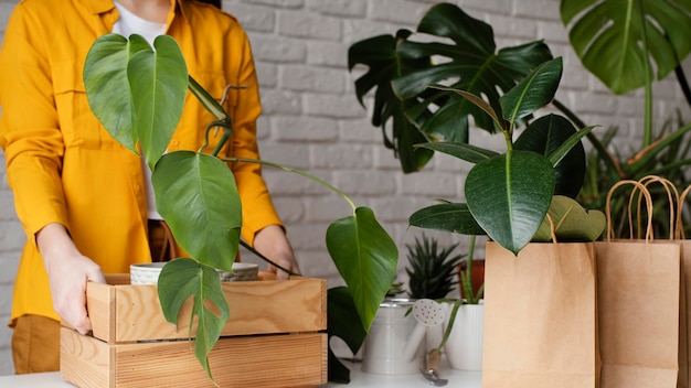 Femme mettant une plante dans une boîte en bois