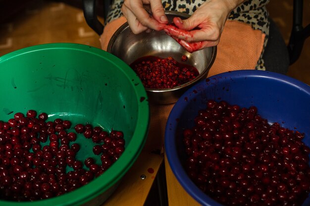 Une femme nettoie les cerises des graines avant de faire cuire de la confiture ou du jus