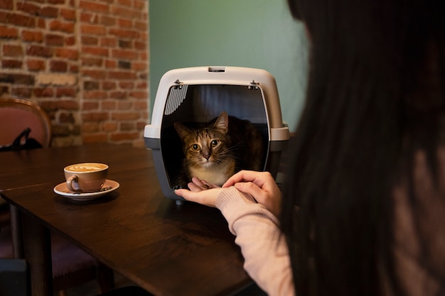 Femme nourrissant son chat dans le transporteur