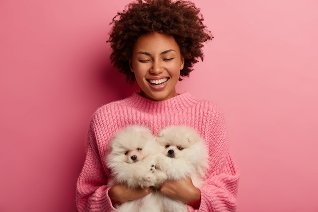 La femme à la peau foncée qui rit garde les yeux fermés du plaisir, porte deux animaux duveteux, profite du bon temps, se soucie des chiens spitz, sourit largement, isolé sur fond rose.