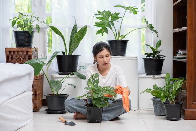 La femme portait des gants orange et plantait des arbres dans la maison.