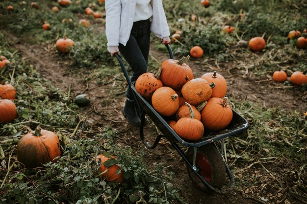 Femme à un potiron avant Halloween