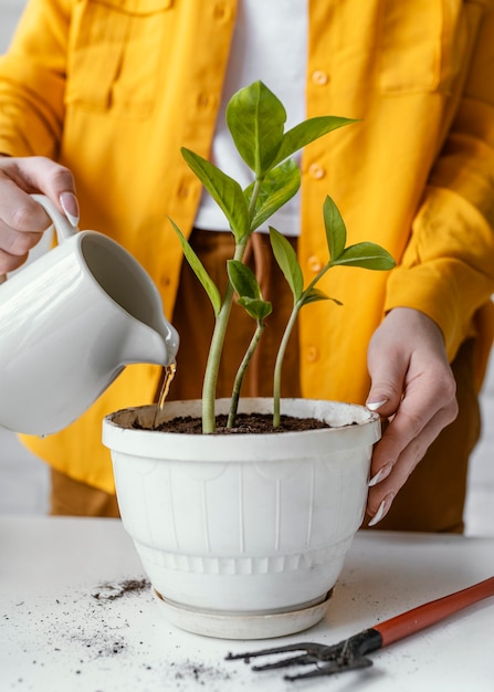 Femme prenant soin de plante en pot