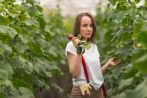 Photo gratuite femme prenant soin de plantes en serre