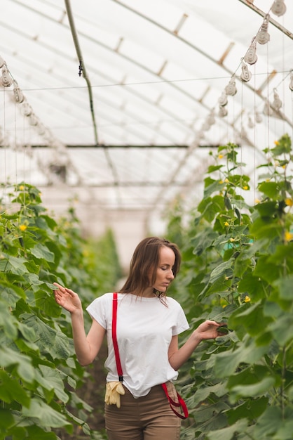 Photo gratuite femme prenant soin de plantes en serre