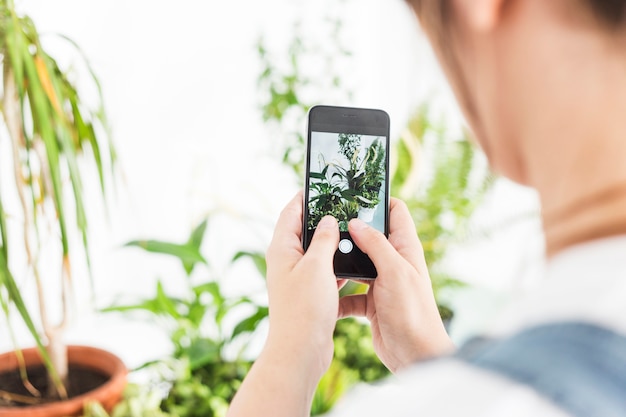 Femme, prendre, photographie, de, plante en pot, sur, téléphone portable