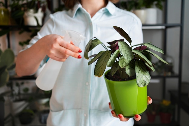 Femme, pulvérisation, plante, feuilles, gros plan