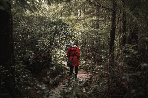 Photo gratuite femme qui marche dans la forêt