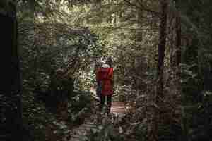 Photo gratuite femme qui marche dans la forêt