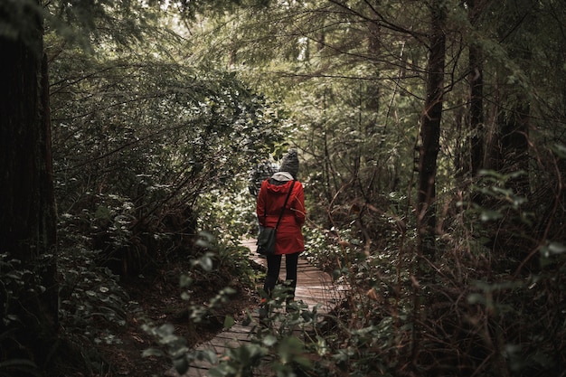 Femme qui marche dans la forêt