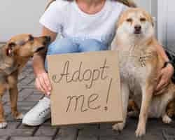 Photo gratuite femme tenant adopter moi signe alors qu'il était assis à côté de chiens mignons