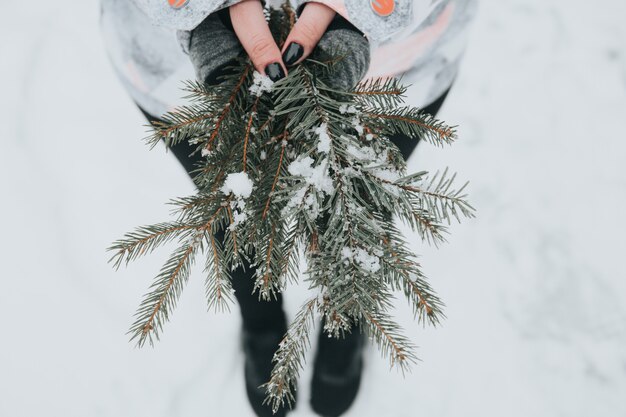 Femme tenant des branches de pin vert avec de la neige sur fond flou