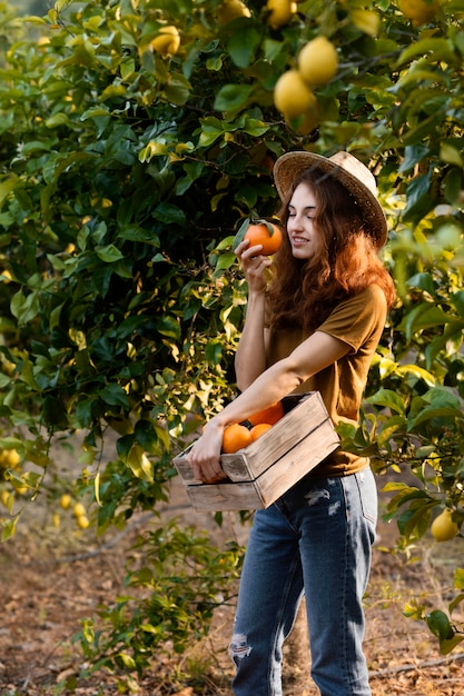 Photo gratuite femme tenant un panier avec des oranges