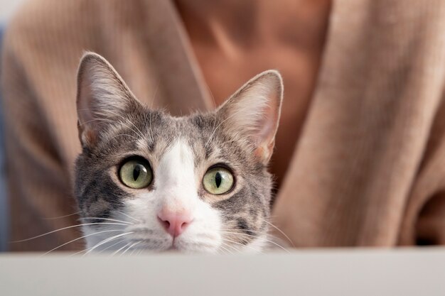 Femme tenant son adorable minou à la maison