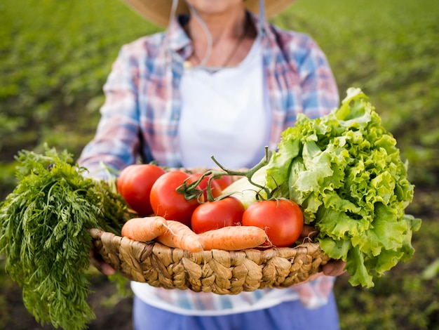 Femme, tenue, panier, plein, légumes, gros plan