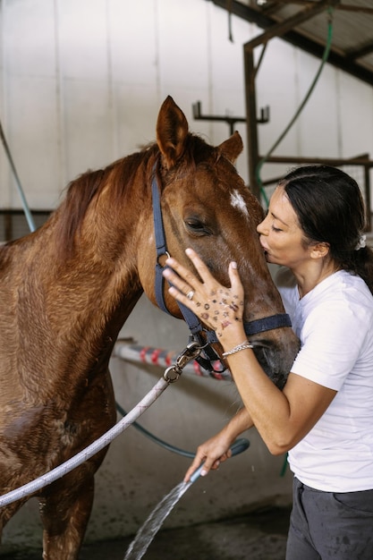 Une femme toiletteuse s'occupe et peigne le pelage du cheval après les cours à l'hippodrome. La femme prend soin d'un cheval, lave le cheval après l'entraînement.