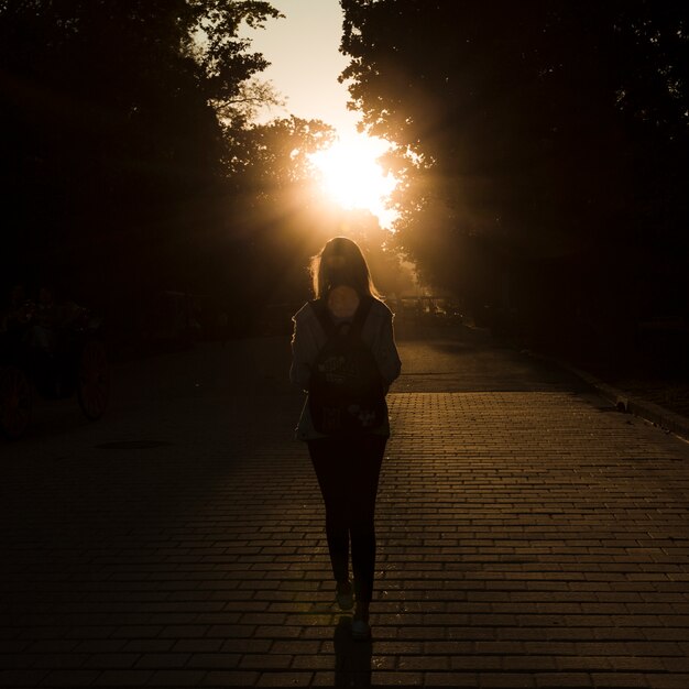 Femme vue arrière sur le coucher de soleil