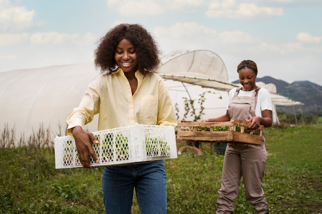 Femmes de front travaillant ensemble