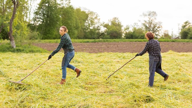 Femmes ramassant de l'herbe