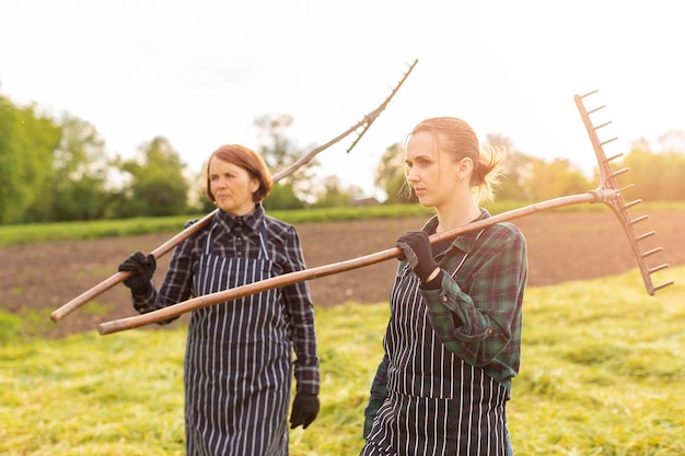 Femmes ramassant de l'herbe