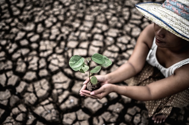 Les femmes sont assises en tenant les semis sur la terre ferme dans un monde en réchauffement.