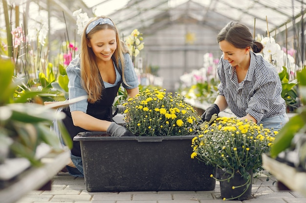 Femmes travaillant dans une serre avec des pots de fleurs