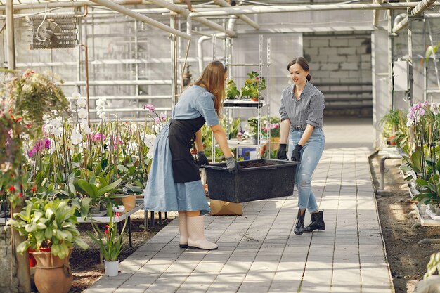 Photo gratuite femmes travaillant dans une serre avec des pots de fleurs