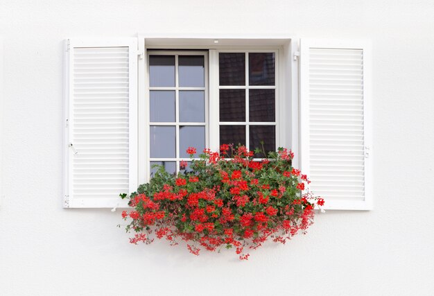 Fenêtre blanche et fleurs.
