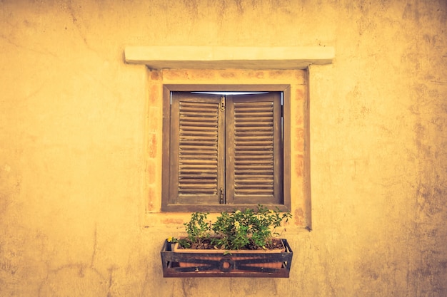 Fenêtre en bois avec un pot de fleurs avec des plantes