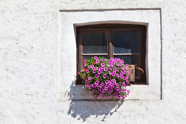 Fenêtre avec pots de fleurs et fleur colorée sur un mur blanc