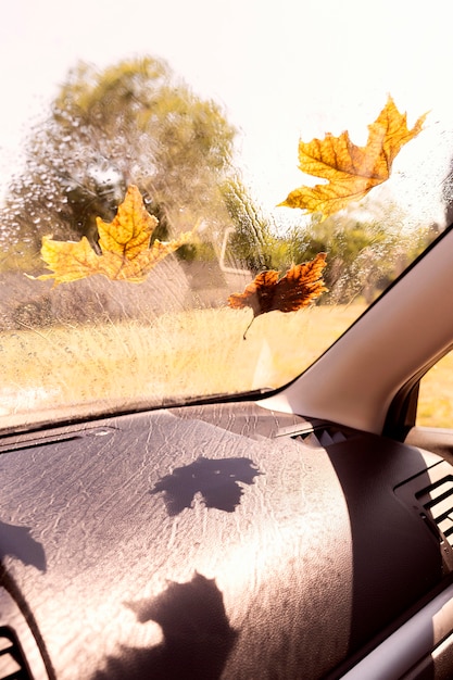 Photo gratuite fenêtre de voiture avec des feuilles d'automne