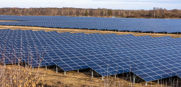 Ferme électrique avec panneaux pour produire de l'énergie écologique propre