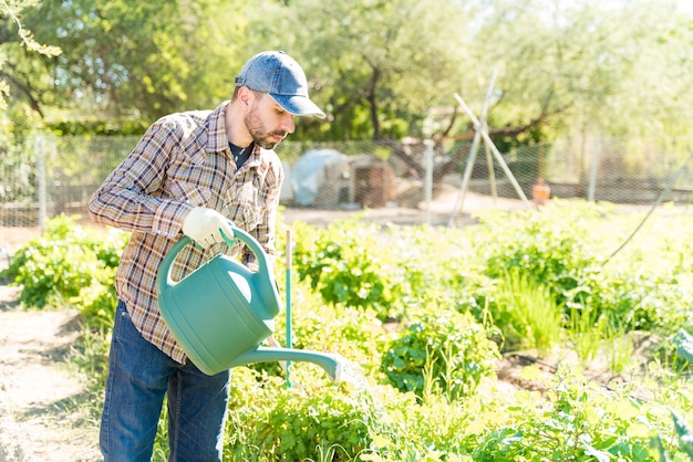 Photo gratuite fermier arrosant des plantes cultivées dans son potager pendant l'été