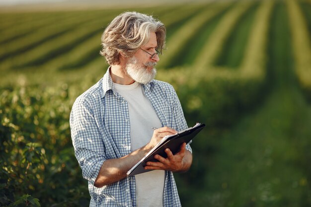 Le fermier examine le champ. L'agronome ou l'agriculteur examine la croissance du blé.