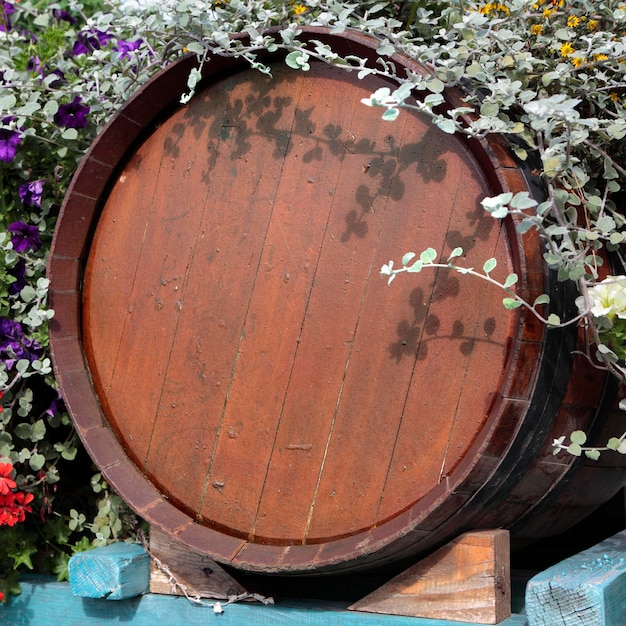 Fête de la récolte des tonneaux de vin en bois de France