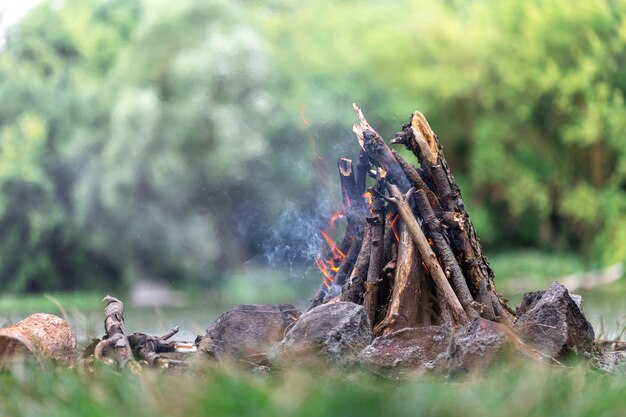 Photo gratuite feu de camp non brûlé avec des branches d'arbres dans l'espace de copie forestière