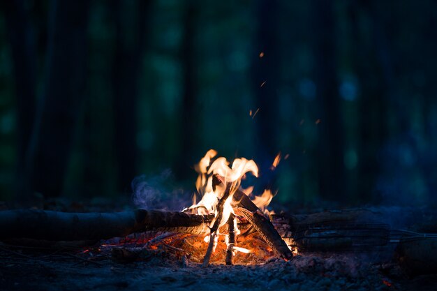 Feu de camp de nuit la nuit