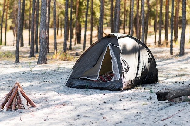 Feu de camp et tente dans la nature