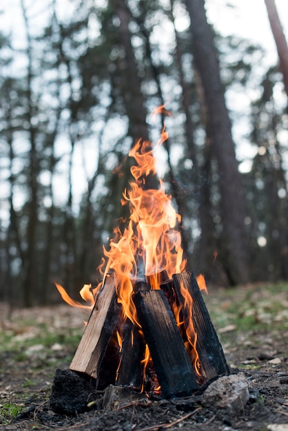 Feu de joie à angle faible avec des flammes