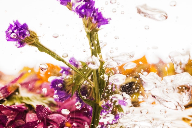 Feuillage persistant mauve tombant dans l&#39;eau