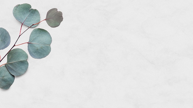 Photo gratuit feuille d'eucalyptus psd fond de marbre blanc