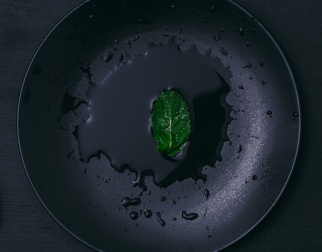 Feuille de menthe dans un verre