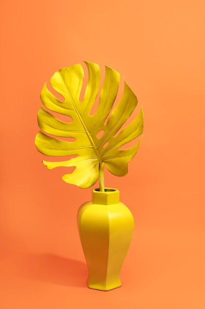 Photo gratuite feuille de monstera jaune dans un vase jaune nature morte