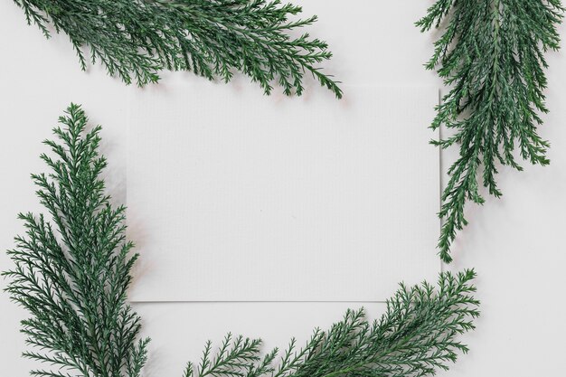 Feuille de papier avec des branches de cyprès sur table