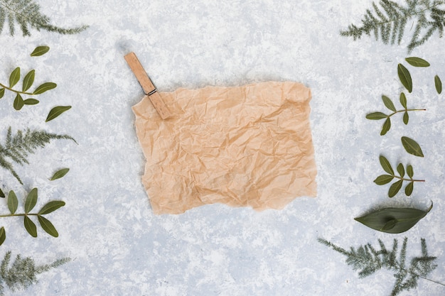 Feuille de papier avec des branches de plantes sur la table